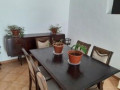 casa-terrera-en-venta-en-camino-hibisco-ref-102045412-small-3