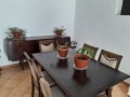 casa-terrera-en-venta-en-camino-hibisco-small-3