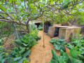 finca-rustica-en-venta-en-camino-el-marengo-small-13