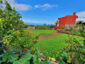 finca-rustica-en-venta-en-camino-el-marengo-small-14