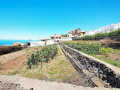 finca-rustica-en-venta-en-la-vega-el-amparo-cueva-del-viento-small-3