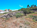 finca-rustica-en-venta-en-la-vega-el-amparo-cueva-del-viento-small-2