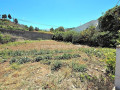 finca-rustica-en-venta-en-la-vega-el-amparo-cueva-del-viento-small-1