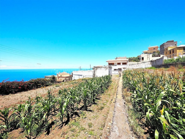 finca-rustica-en-venta-en-la-vega-el-amparo-cueva-del-viento-big-4