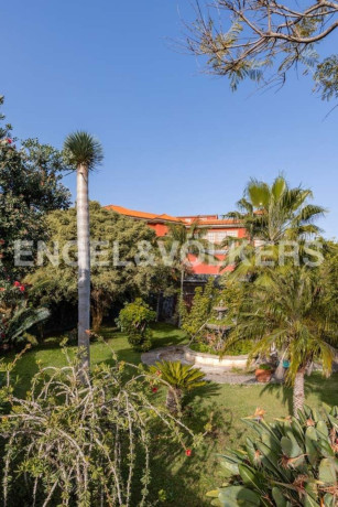 casa-o-chalet-independiente-en-venta-en-el-amparo-big-7