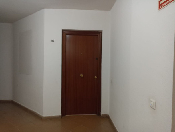 piso-en-venta-en-calle-eucalipto-big-5