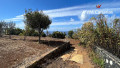 finca-rustica-en-venta-en-el-pris-juan-fernandez-small-15