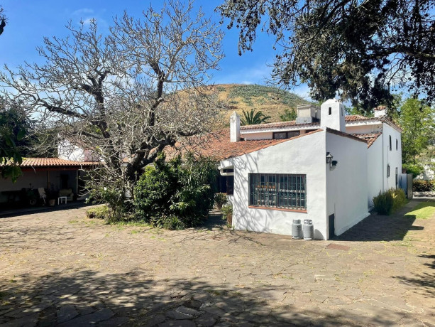 finca-rustica-en-venta-en-calle-la-caridad-46-big-5