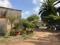 finca-rustica-en-venta-en-calle-la-caridad-107-small-14