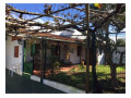 casa-o-chalet-independiente-en-venta-en-tacoronte-los-naranjeros-small-4