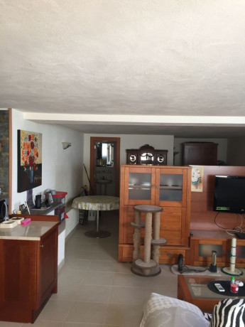 chalet-adosado-en-venta-en-avenida-colibri-21-big-7