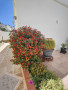 piso-en-venta-en-c-suiza-38660-costa-adeje-santa-cruz-de-tenerife-small-20