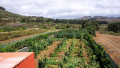 finca-rustica-en-venta-en-camino-las-galeras-sn-small-11