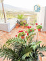 casa-rural-en-venta-en-paraje-las-rosas-small-8