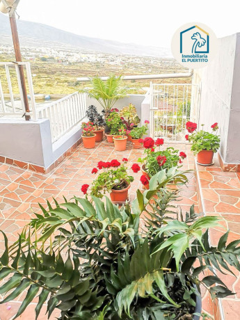 casa-rural-en-venta-en-paraje-las-rosas-big-8