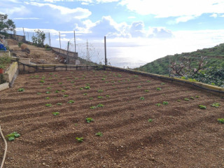 Finca rústica en venta en El Escobonal - Pájara