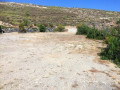 finca-rustica-en-venta-en-el-escobonal-pajara-small-6