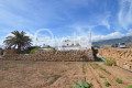 finca-rustica-en-venta-en-arico-small-27