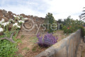 finca-rustica-en-venta-en-arico-small-4