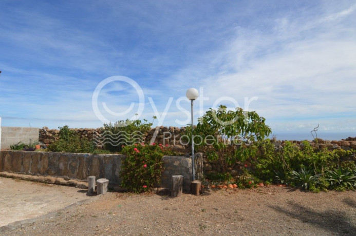 finca-rustica-en-venta-en-arico-big-28