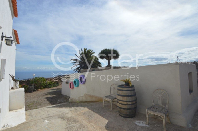 finca-rustica-en-venta-en-arico-big-20