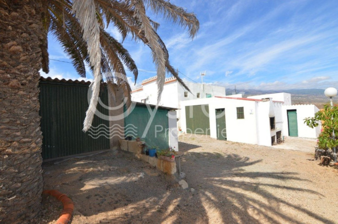 finca-rustica-en-venta-en-arico-big-5