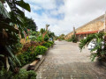 finca-rustica-en-venta-en-calle-san-bartolome-small-7