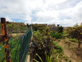 finca-rustica-en-venta-en-calle-san-bartolome-small-3