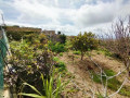 finca-rustica-en-venta-en-calle-san-bartolome-small-28