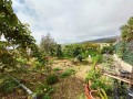 finca-rustica-en-venta-en-calle-san-bartolome-small-29