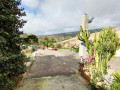 finca-rustica-en-venta-en-calle-san-bartolome-small-6