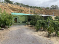 finca-rustica-en-venta-en-arico-small-6