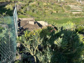 finca-rustica-en-venta-en-calle-las-cuevas-small-14