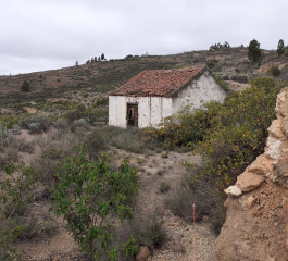 Cortijo en venta en calle Icor (ref. 100613951)