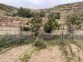 finca-rustica-en-venta-en-arico-small-8