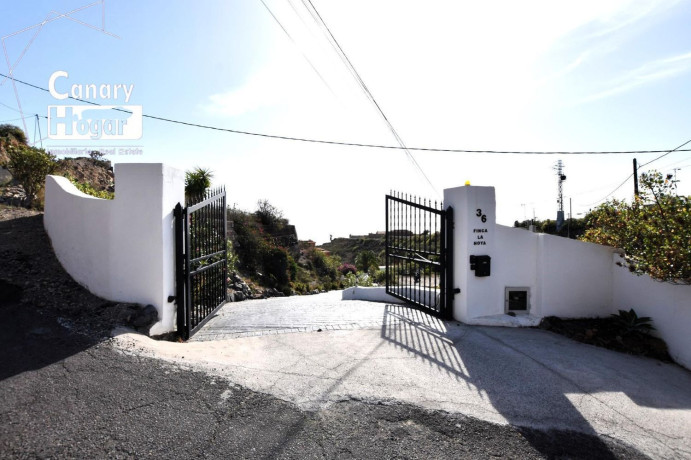 casa-o-chalet-independiente-en-venta-en-granadilla-big-3