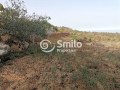 casa-rural-en-venta-en-calle-la-higuera-small-4