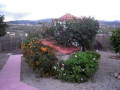 casa-o-chalet-independiente-en-venta-en-granadilla-small-5