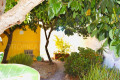 casa-o-chalet-independiente-en-venta-en-granadilla-small-11