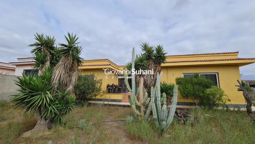 casa-o-chalet-independiente-en-venta-en-el-medano-big-8