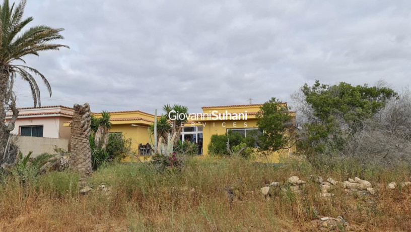 casa-o-chalet-independiente-en-venta-en-el-medano-big-14