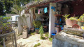 finca-rustica-en-venta-en-sauzal-small-25