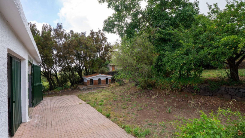 finca-rustica-en-venta-en-camino-a-la-babosera-5-big-20