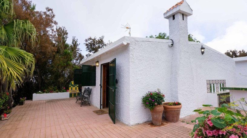 finca-rustica-en-venta-en-camino-a-la-babosera-5-big-6