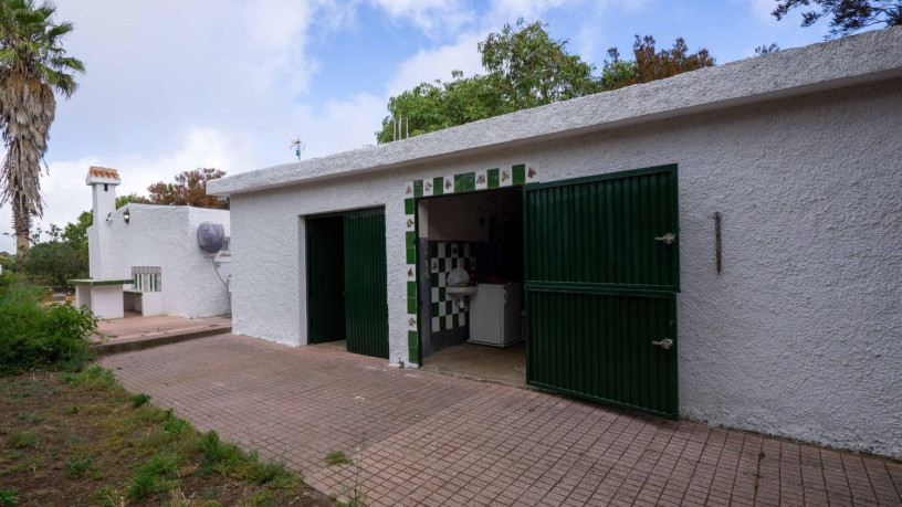 finca-rustica-en-venta-en-camino-a-la-babosera-5-big-15