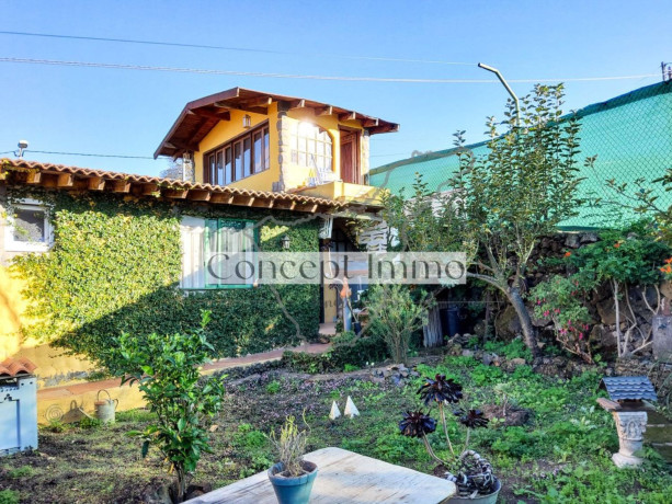 casa-rural-en-venta-en-la-perdoma-san-antonio-benijos-big-2