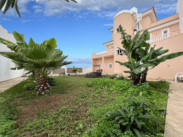 casa-o-chalet-independiente-en-venta-en-camino-san-felipe-san-marcos-las-canas-big-2