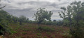se-vende-terreno-rustico-agricola-en-zona-tacoronte-tenerife-small-5