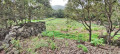 finca-rustica-en-venta-en-tf-82-small-4