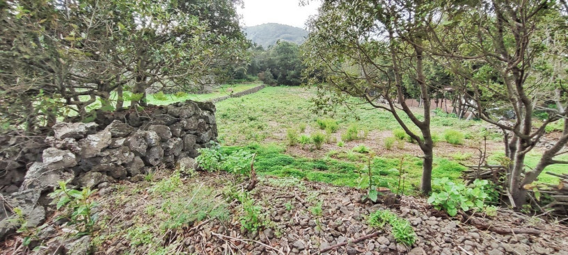 finca-rustica-en-venta-en-tf-82-big-4